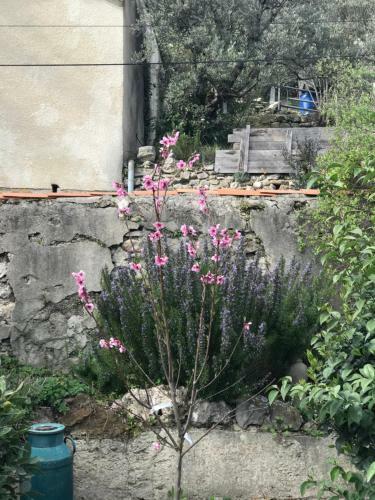 Bed & Breakfast Les Montades Chambres D'h�tes
