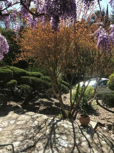 Bed & Breakfast Les Montades Chambres D'h�tes