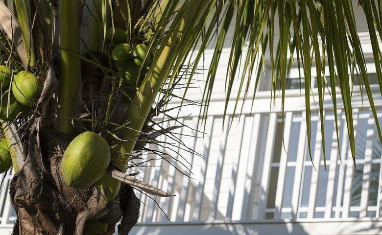 Hotel The Marker Waterfront Resort Key West