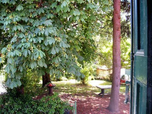 Bed & Breakfast Ca' Morano