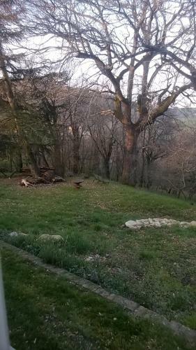 Bed & Breakfast Ca' Morano