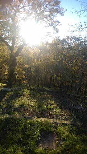 Bed & Breakfast Ca' Morano