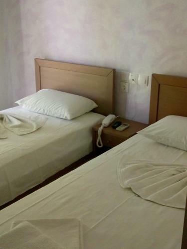 Hotel Ion