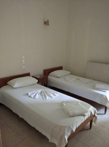 Hotel Ion