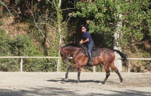 Agroturismo Podere Calledro