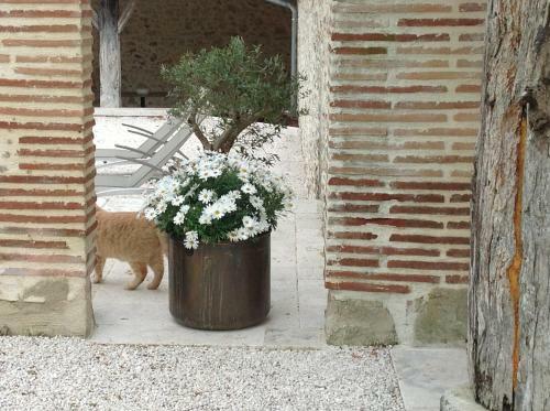 Bed & Breakfast Chambres D'h�tes Caubel