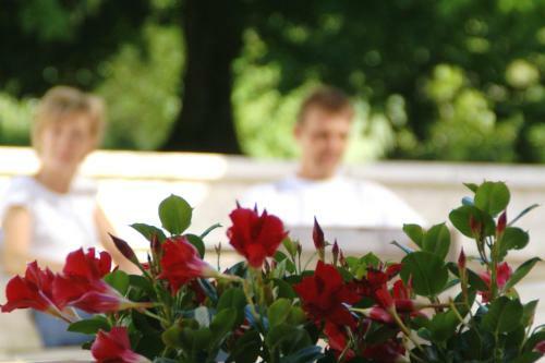 Bed & Breakfast Chambres D'h�tes Caubel