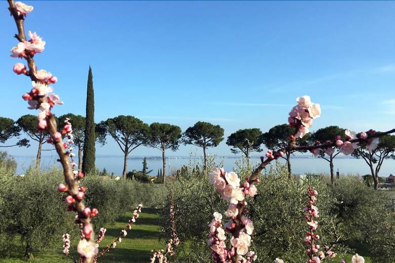 Agroturismo Agriturismo Nonna Bettina