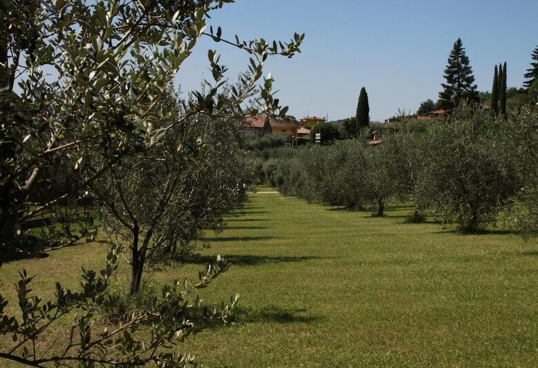 Agroturismo Agriturismo Nonna Bettina
