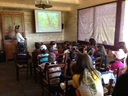 Agroturismo Agriturismo Il Timo
