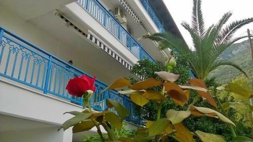Hotel Dellis