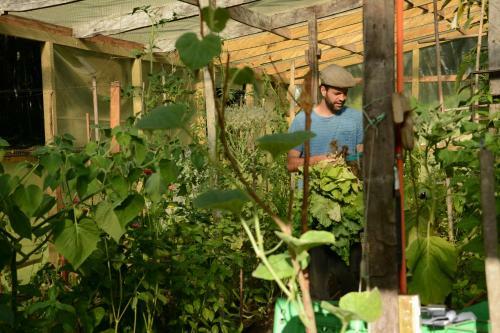 Agroturismo La Codorniz B&B