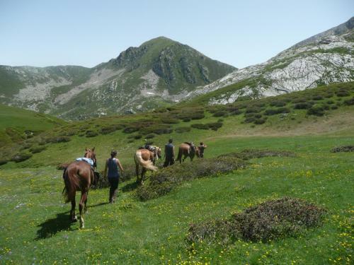 Agroturismo Agriturismo Bio-ecologico Sant'isidoro