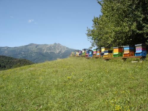 Agroturismo Agriturismo Bio-ecologico Sant'isidoro