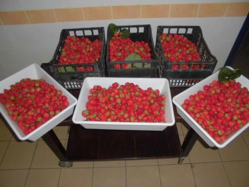 Agroturismo Agriturismo Bio-ecologico Sant'isidoro