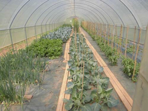 Agroturismo Agriturismo Bio-ecologico Sant'isidoro