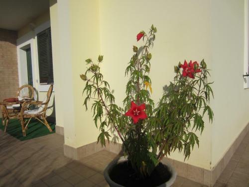 B&B Occhi Di Mare