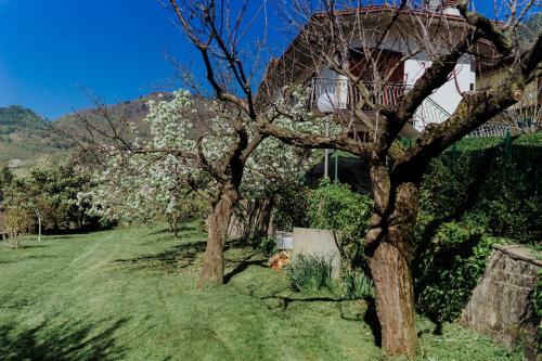 Apartamento Casa Rita