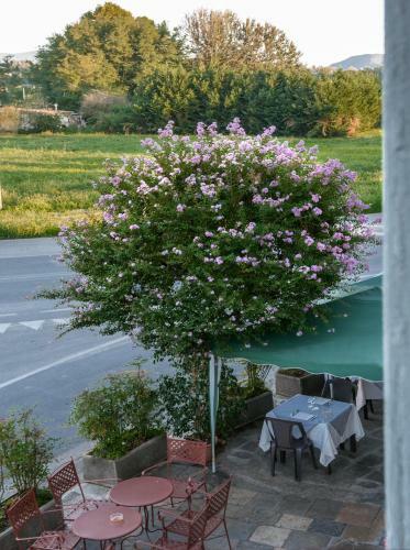 Tuscan Sun Holiday Apartments