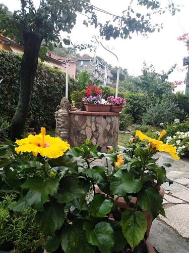 Bed And Breakfast I Girasoli