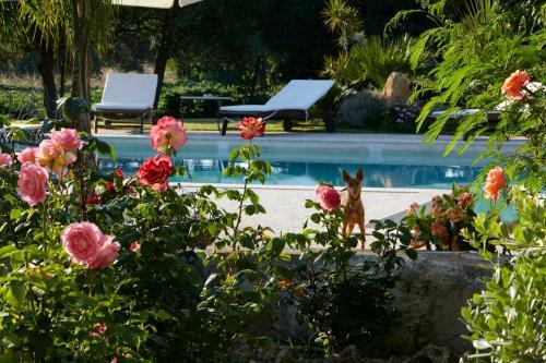 Agroturismo Baglio Sant'andrea