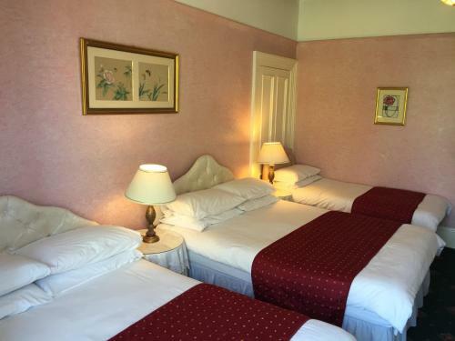 Bed & Breakfast Hermitage Guest House