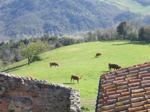 Agroturismo Borgo Cerbaiola