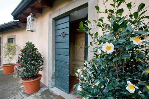 B&B Torre Del Parco