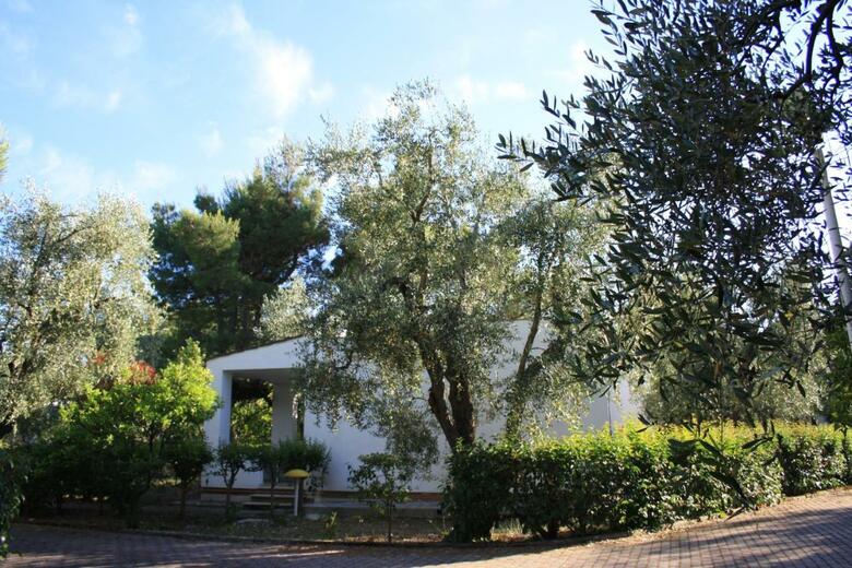Aparthotel Residence Delfino
