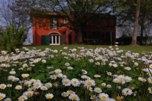 B&B L'alberone