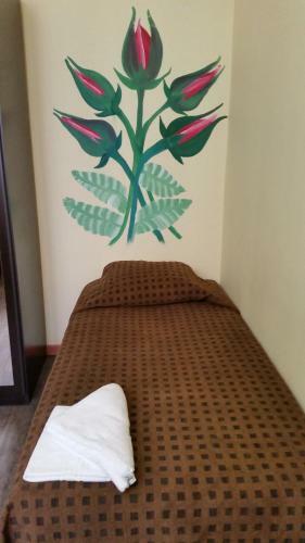 Evelia Hotels