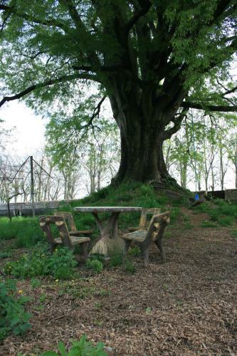 Agroturismo La Meridiana