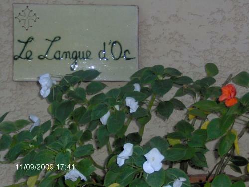 Hotel Le Langue D'oc
