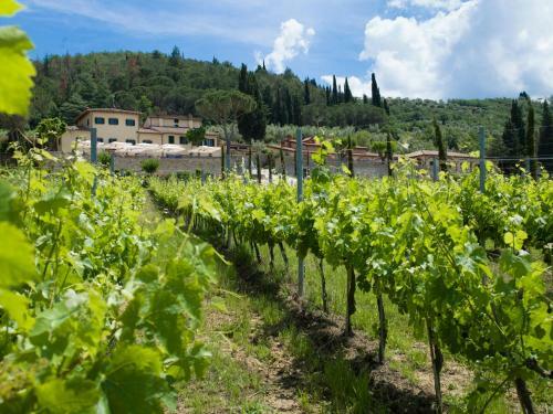 Agroturismo Villa Cilnia Relais & Spa