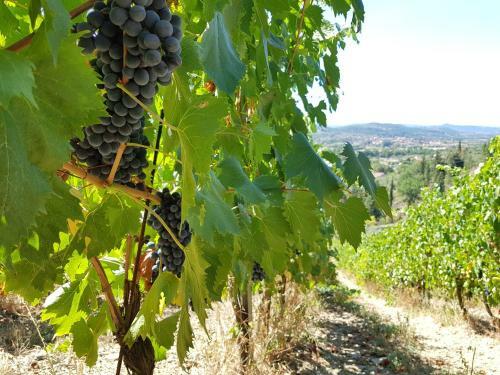 Agroturismo Villa Cilnia Relais & Spa