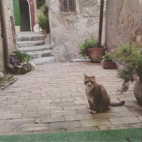 Bed & Breakfast Rupe Antica