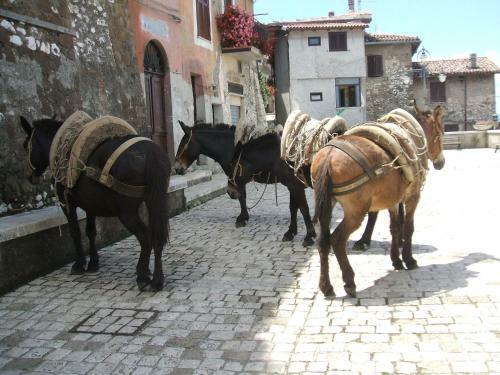 Bed & Breakfast Rupe Antica