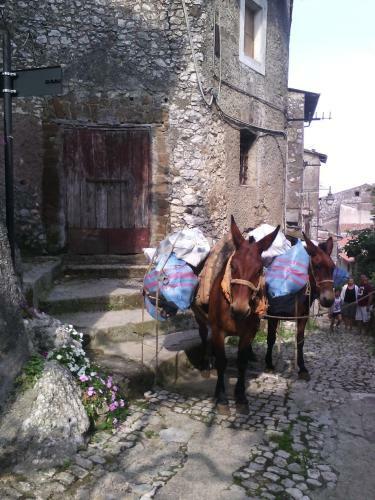Bed & Breakfast Rupe Antica