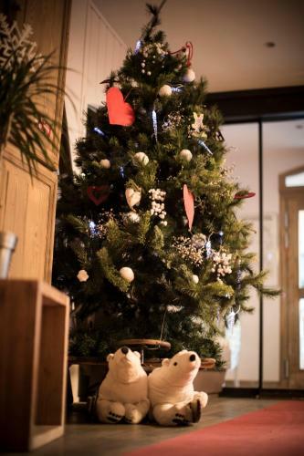 Hotel H�tel De La Vanoise