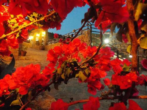 Agroturismo Casale Del Golfo