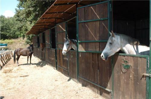 Agroturismo La Riserva Montebello