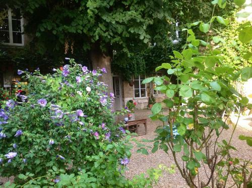 Bed & Breakfast Chambres D'h�tes La Villa Ali�nor