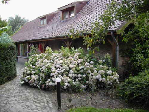 Holiday Home 't Westkanterhof
