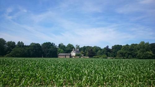 Bed & Breakfast Chambres D'h�tes Launay Guibert