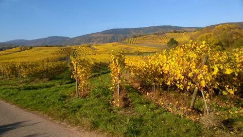 Bed & Breakfast Chez Yolande
