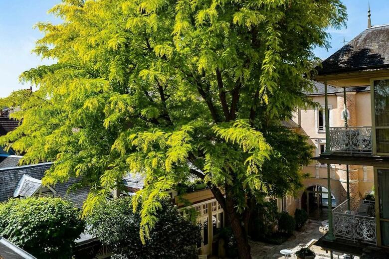 Hotel Grand H�tel Du Lion D'or