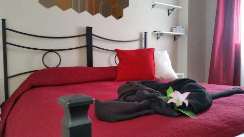 Bed & Breakfast Il Sole Del Mediterraneo