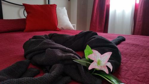 Bed & Breakfast Il Sole Del Mediterraneo