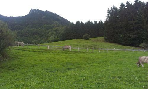 Agroturismo S�gerhof Bader
