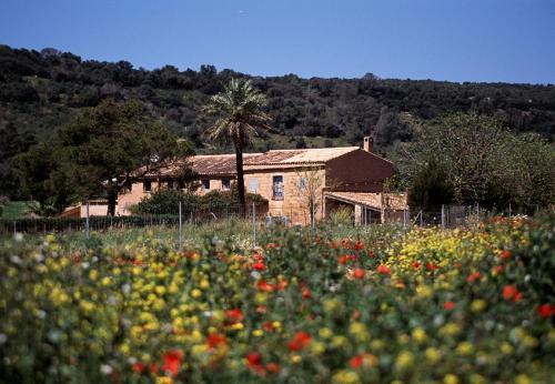 Agroturismo Finca Es Mayolet